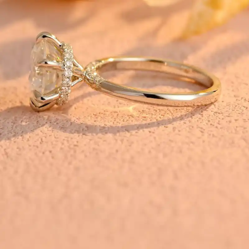 /public/photos/live/134 (2).webp